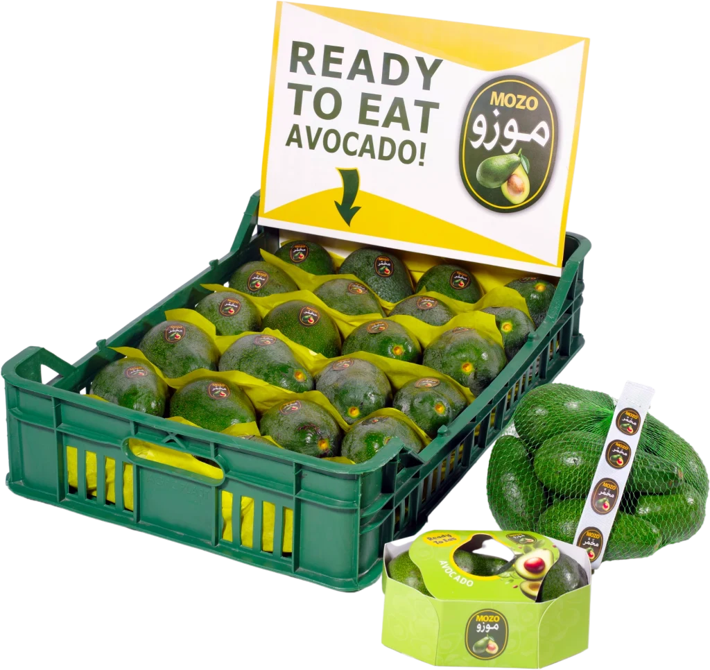 Mozo is always ready to eat